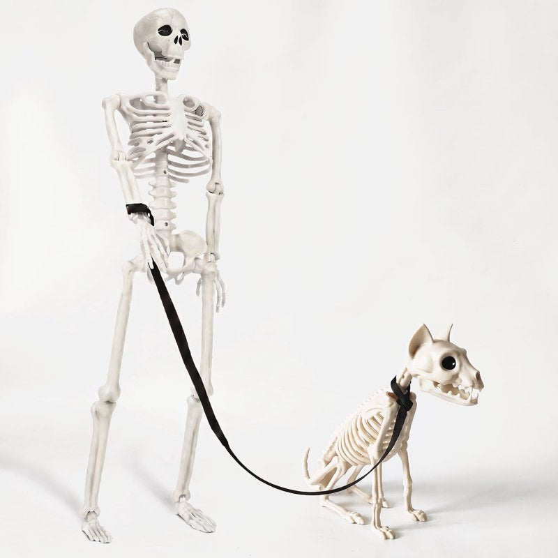 Halloween Human and Cat Skeleton Set - 90cm Posable Full Body Decor
