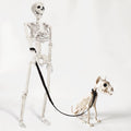 Halloween Human and Cat Skeleton Set - 90cm Posable Full Body Decor