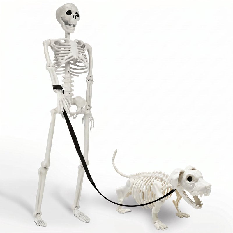 Halloween Skeleton Set with Dog Skeleton - 90cm Realistic Movable Full Body Decor