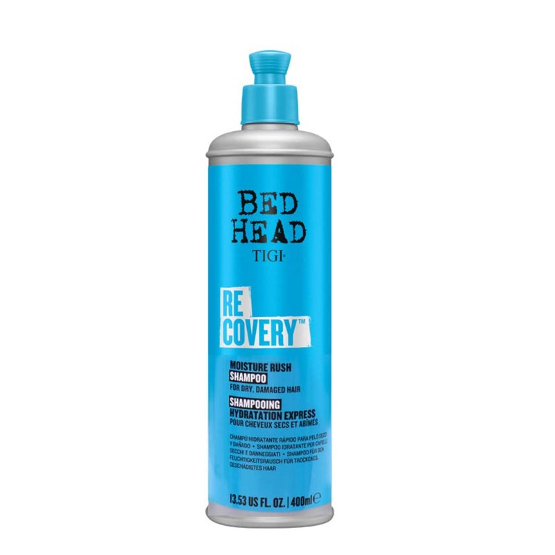Moisturizing Shampoo for Dry, Damaged Hair - 13.43 fl oz