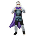 Kids Teenage Mutant Ninja Turtles Retro Shredder Costume - Small by Rubies