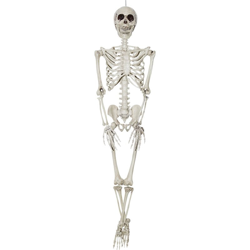 36-Inch Realistic Plastic Skeleton Halloween Decor - Human Skeleton Prop