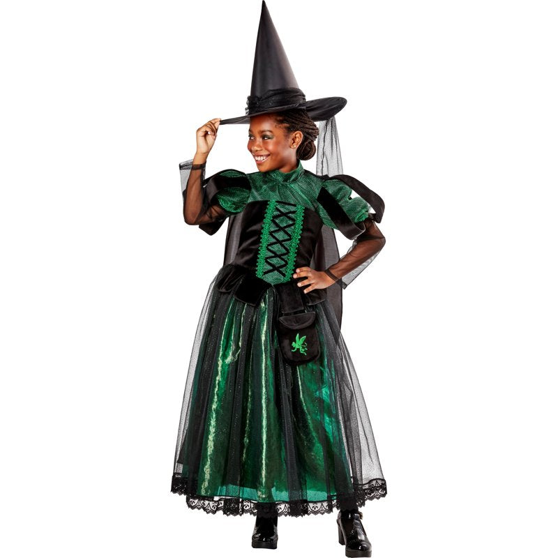 Kids Wicked Witch Costume Deluxe - The Wizard of Oz, Small, Green & Black