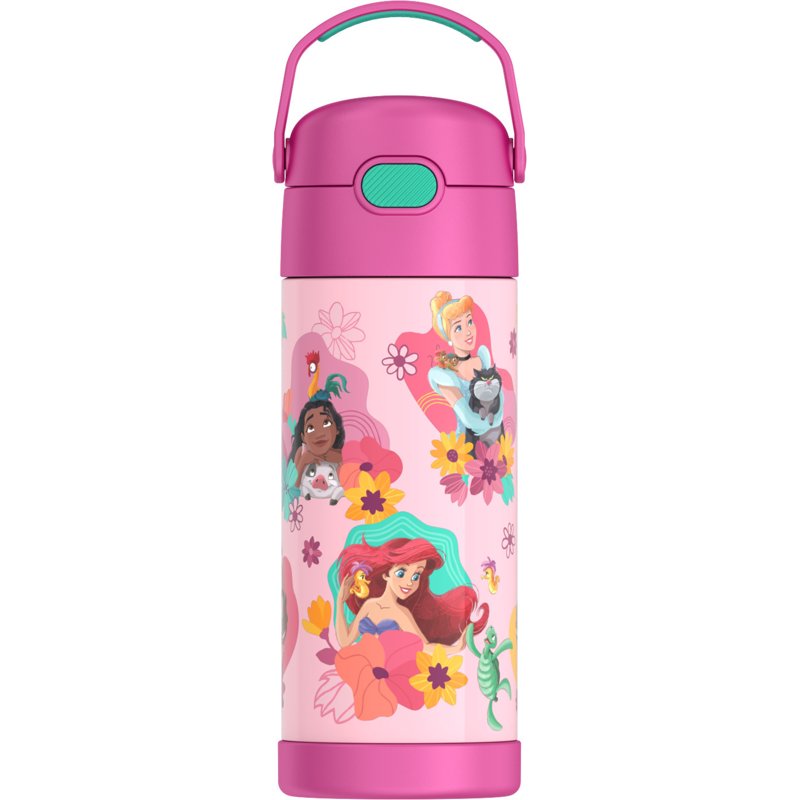 Insulated Stainless Steel Water Bottle with Straw - Pink Princess, 14oz