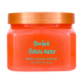 Bikini Reef Shea Sugar Body Scrub - Exfoliating & Moisturizing, 18 oz