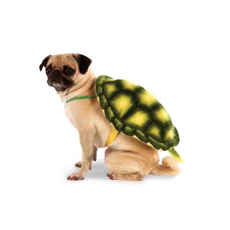 Pet Turtle Shell Costume for Dogs and Cats - Medium/Large, 11-29 lbs