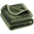 Twin Flannel Fleece Blanket - Fern Green 30x40 Inches Luxury Soft Comfort