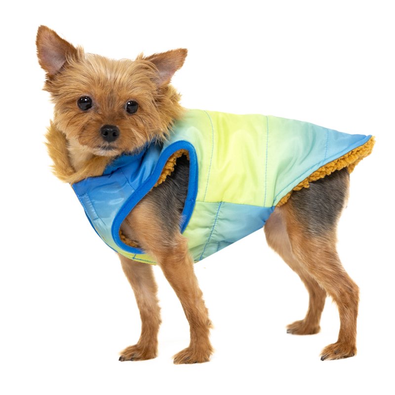 Pet Hooded Jacket - Blue Ombre, XS - Cool Weather Dog Coat with Hoodie