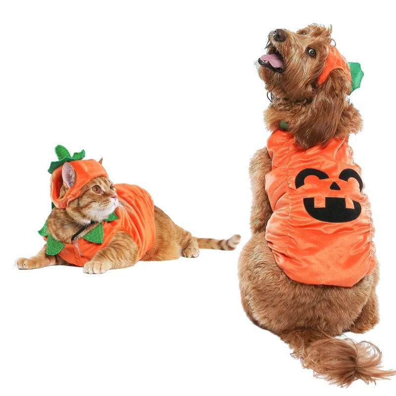 Pet Halloween Jack-O-Lantern Costume with Hat - Small