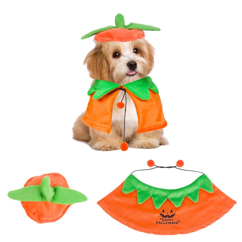 Pet Halloween Costume Pumpkin Cloak & Hat Set - Adjustable for Cats & Kittens - S (Neck 12-17 In)