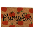 Autumn Door Mat Z10002 - 16x24 Inch Fall Pumpkin Halloween Welcome Door Decor