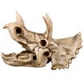 Dinosaur Skull Resin Model - Triceratops Fossil Skeleton Collectible Decor