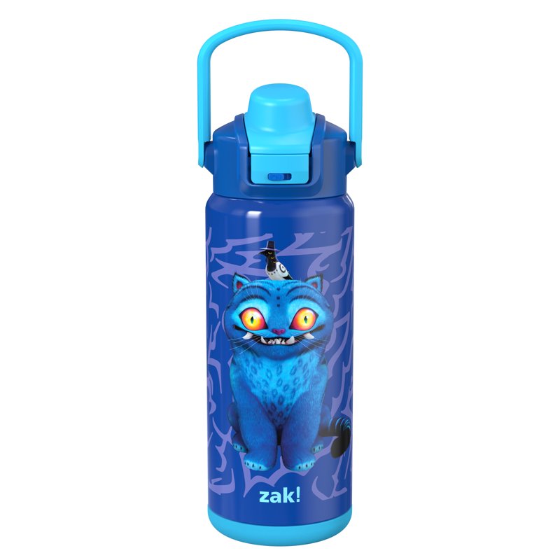20oz Stainless Steel Water Bottle with Push Button Lid - Derpy Blue