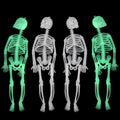 Glow in The Dark Skeleton Figurines - Halloween Skeleton Decorations, 7.9 Inch, 4 Pack
