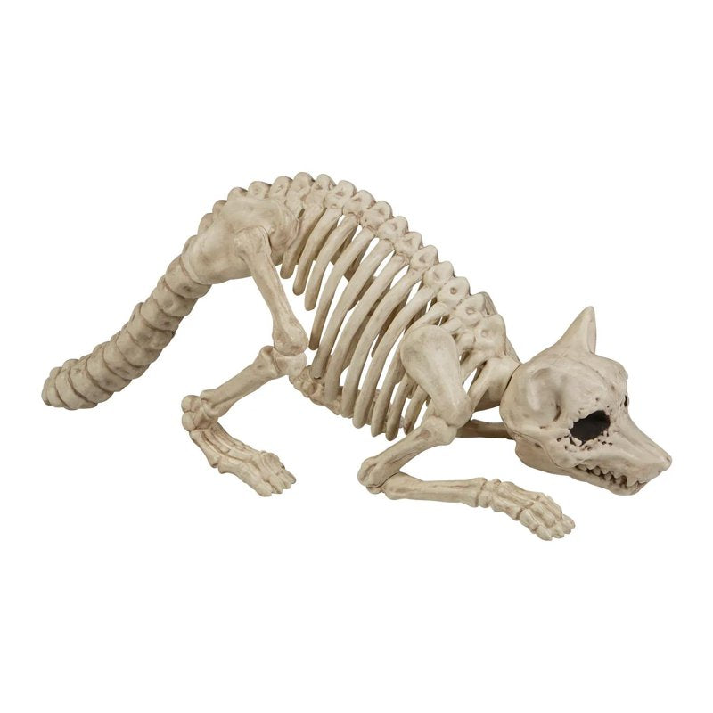 Halloween Raccoon Skeleton Decoration - 21 Inch Weatherproof Plastic Figure
