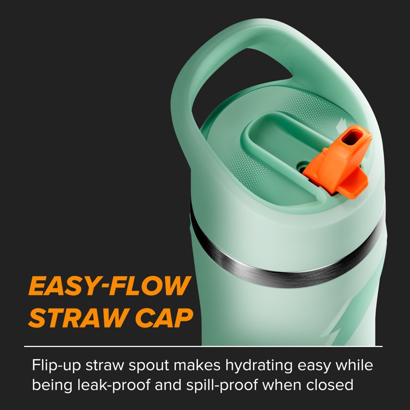 22oz Stainless Steel Water Bottle with Straw Cap - Coral