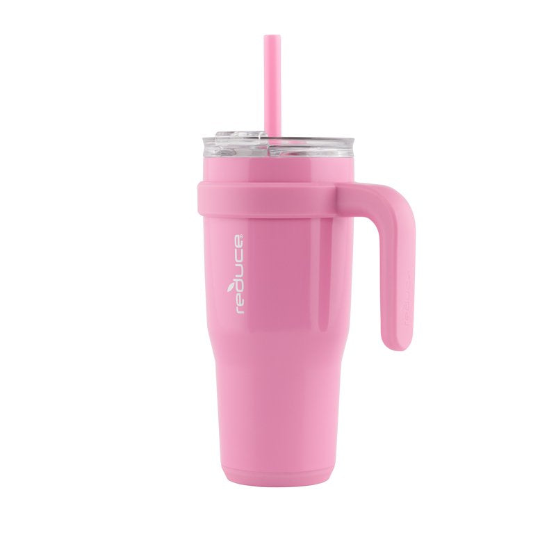 24oz Insulated Stainless Steel Tumbler with Straw & Lid - Peony