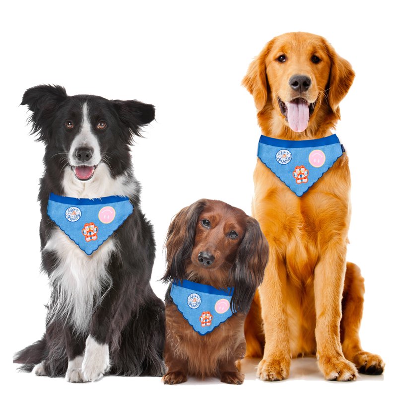 Pet Bandana for Dogs - Small/Extra Small, Pack of Patches