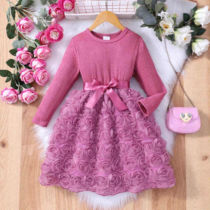 Pink Toddler Girl Dress with 3D Rose Tulle Long Sleeve Birthday Party Holiday