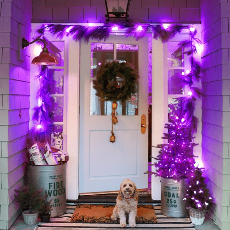 Purple Connectable 100 LED Christmas String Lights - Indoor & Outdoor, 8 Modes, 33ft