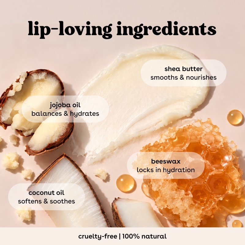 Natural Lip Balm Sticks - Fruity Flavored Moisturizing Shea Butter Set