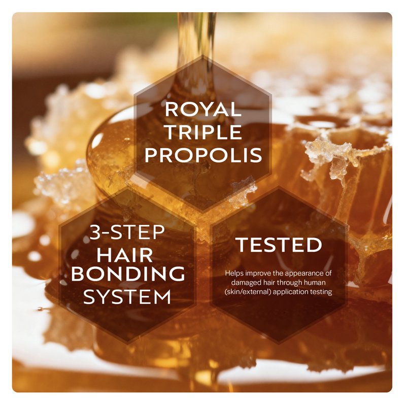 Propolis Hair Repair Leave-In Treatment Spray - 6.76 fl oz