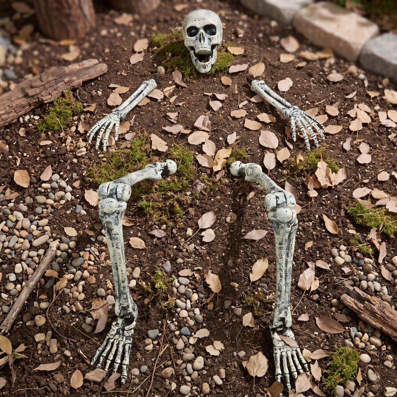 Realistic Posable Skeleton Yard Stakes Set - Outdoor Halloween Skeleton Decorations - 5 Pieces