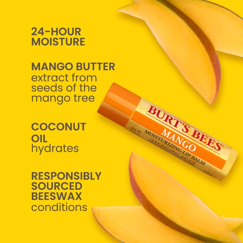 Natural Moisturizing Lip Balm Set - Beeswax & Fruit Flavors, 4 Pack