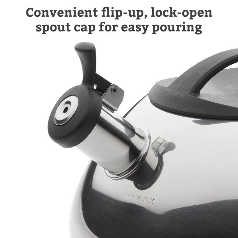 Stainless Steel Whistling Tea Kettle - 2.3 Quart, Silver