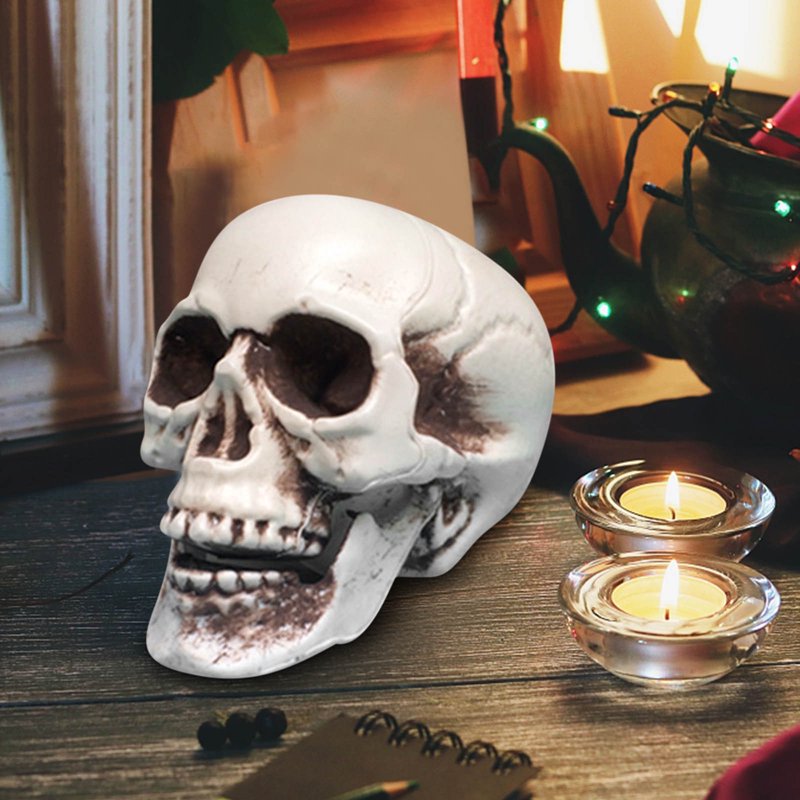 Realistic Halloween Skull Prop - Mini Human Skull Model for Spooky Decorations