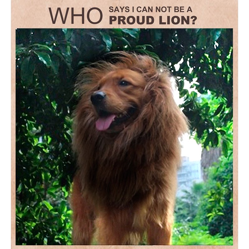 Dog Lion Mane Costume for Medium to Large Dogs - Coffee, Size M