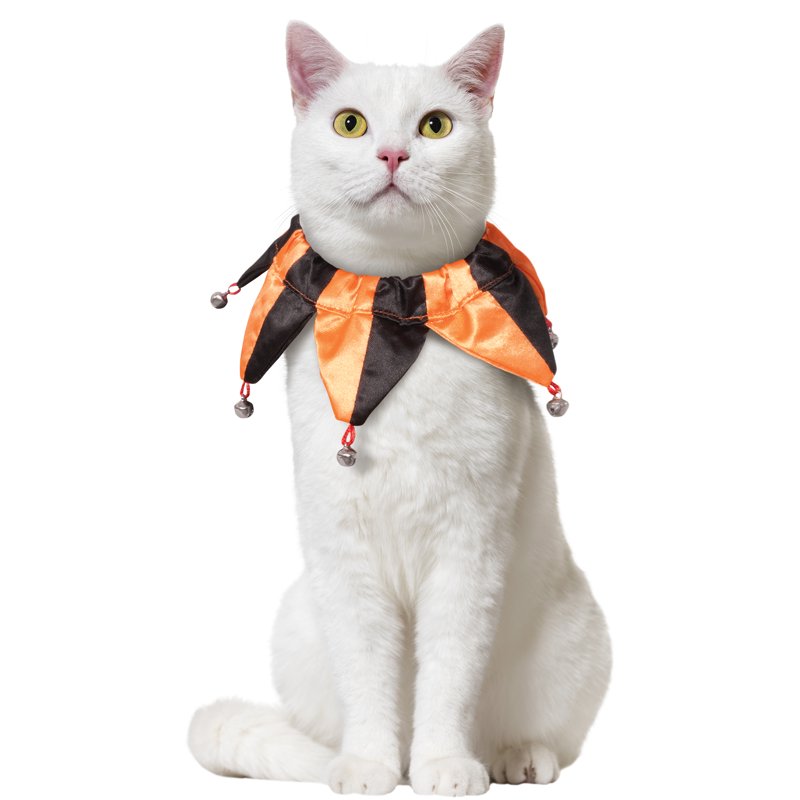 Pet Halloween Costume Accessory Orange Jester Collar for Dog or Cat S/M