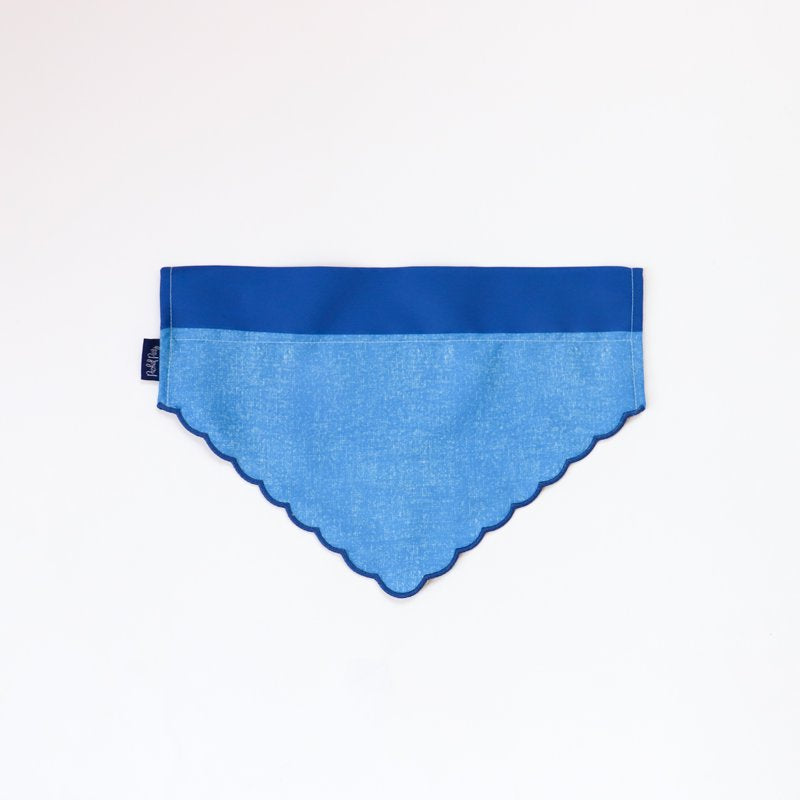 Pet Bandana for Dogs - Small/Extra Small, Pack of Patches