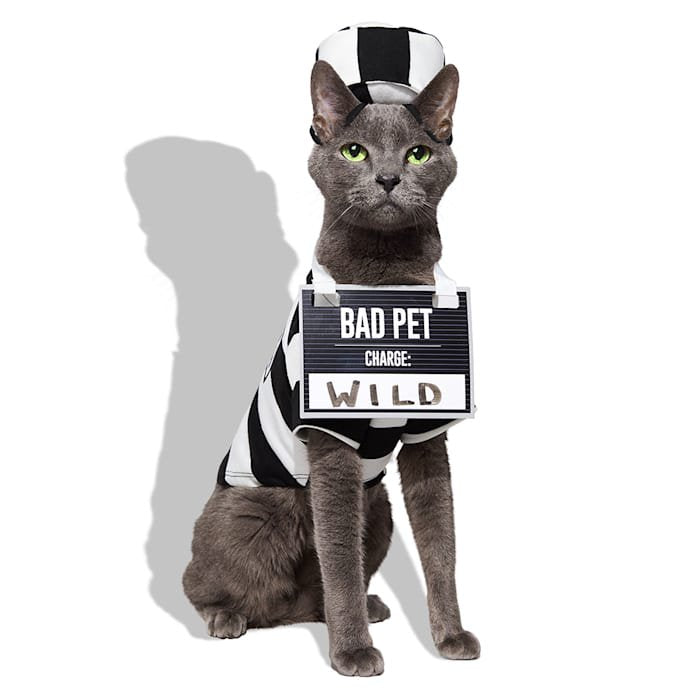 Large Prisoner Pet Halloween Costume with Accessories - Variation L