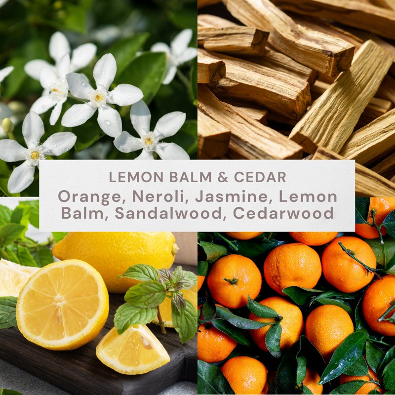 Lemon Balm and Cedar Scented 2-Wick Ombre Jar Candle - 12 oz