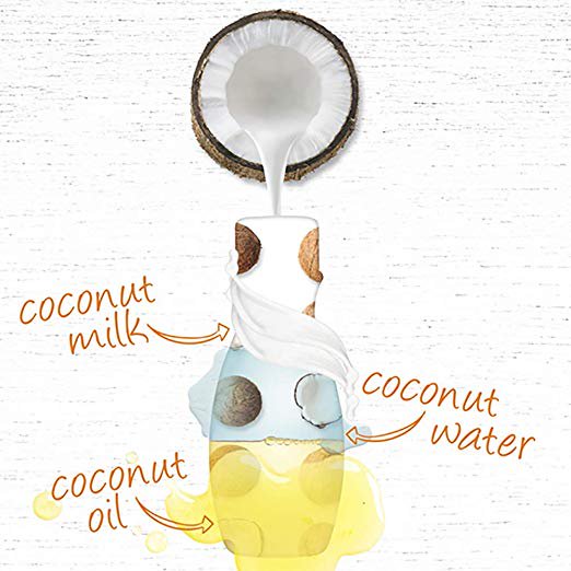 Coconut Oil Body Lotion - Hydrating Formula, 33.8 fl. oz. - Multipack