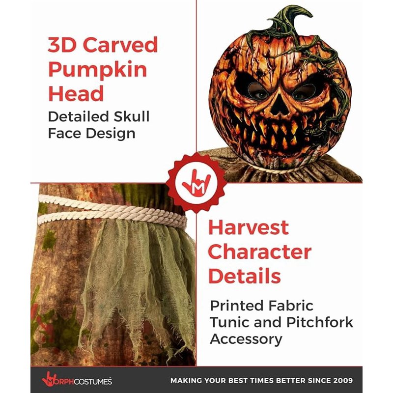 Halloween Boy Costume - Scarecrow Pumpkin Fancy Dress for Boys Medium - Variation M