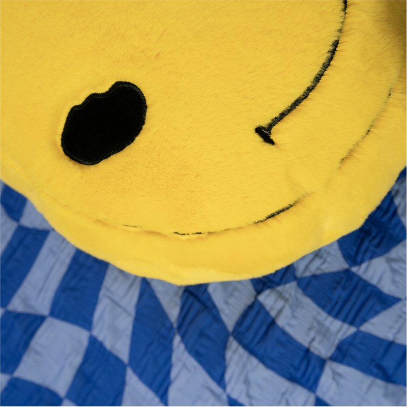 Smiley Decorative Pillow - 18 Inch Bright Cheerful Cushion, Kids & Adults Variation 1