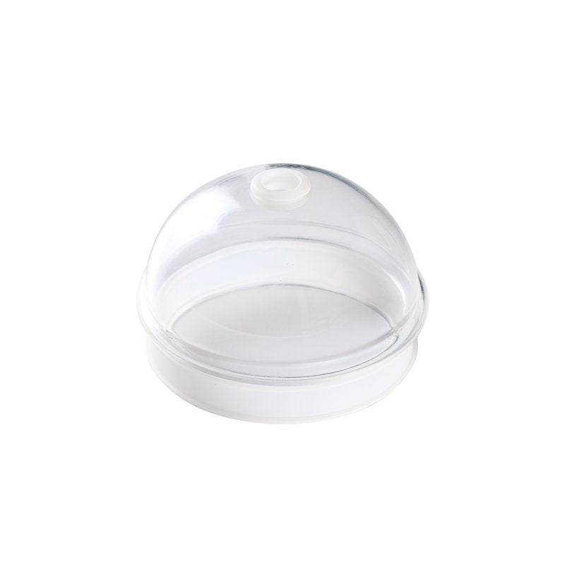 Glass Sipper with Pear Icon and Lid - 16 Ounce Capacity