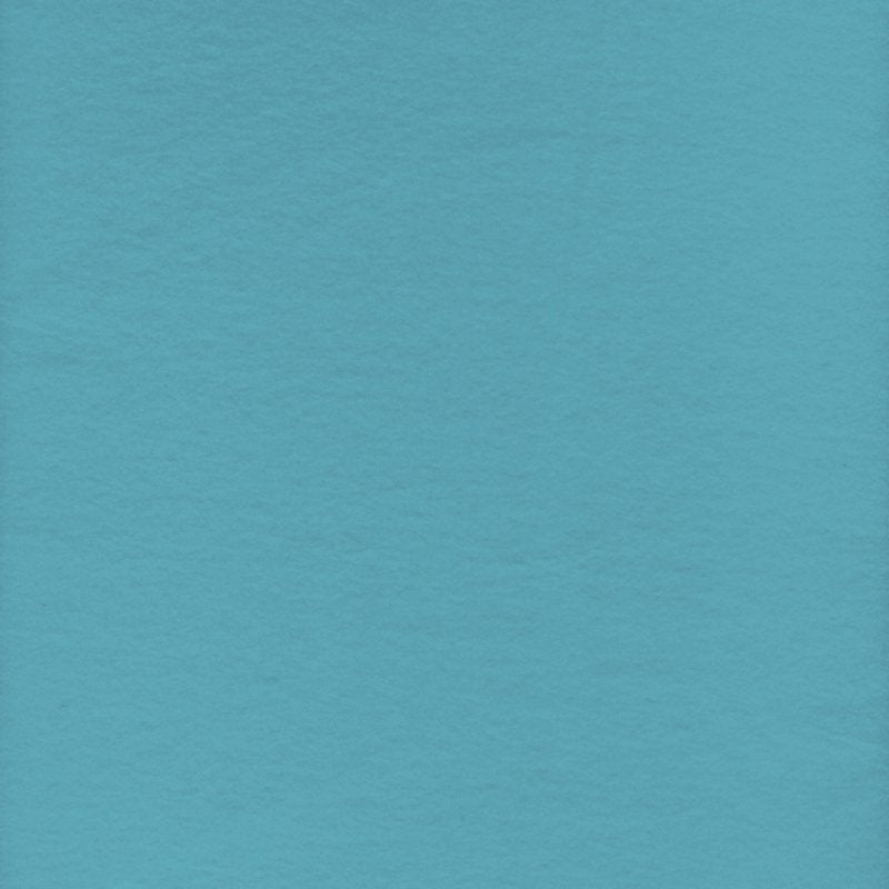 Turquoise Fleece Fabric - 1.5 Yards, 58 Inches, Anti-Pill Plush Material, Precut - Single