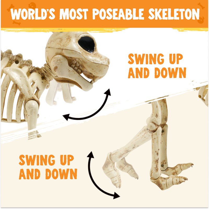 Joyfy Rabbit Skeleton - Animal Skeleton Model for Education & Decor - Rabbit Variation