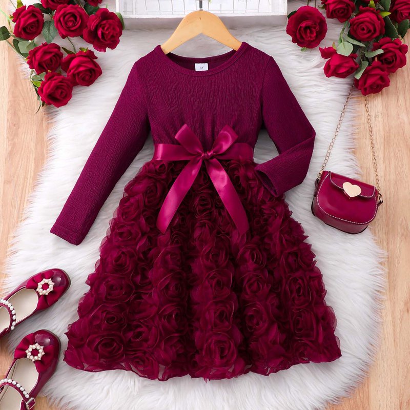 Toddler Girls Dress with 3D Rose Pattern Long Sleeve Tulle - Size 5-6 Years - Wine