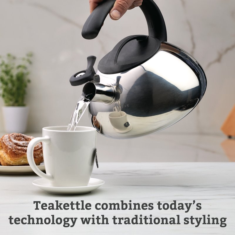 Stainless Steel Whistling Tea Kettle - 2.3 Quart, Silver