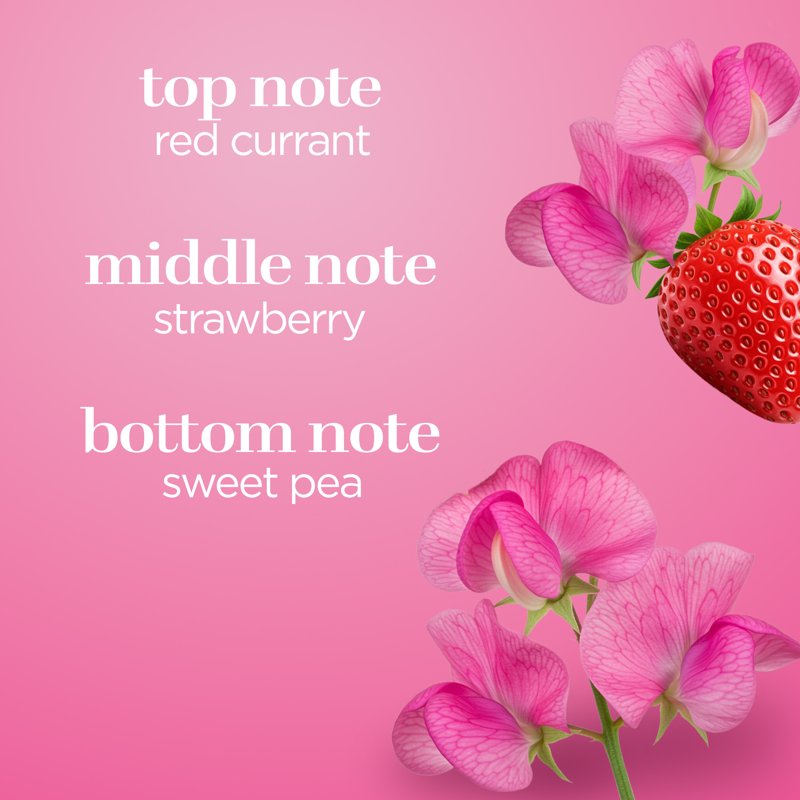 Pink Sweet Pea Fantasy Fragrance Body Spray - Long Lasting Feminine Scent
