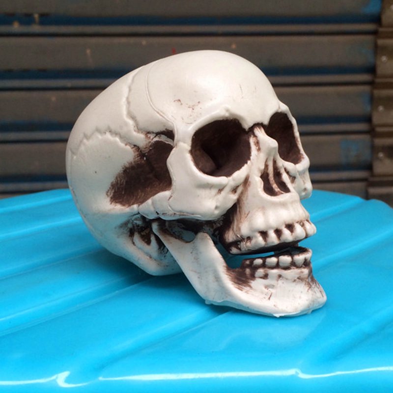 Realistic Halloween Skull Prop - Mini Human Skull Model for Spooky Decorations