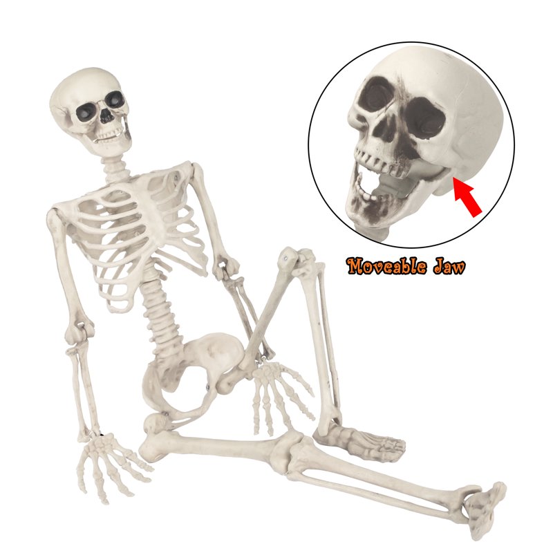 Halloween Skeleton Decoration, 38 Inch Full Body Plastic Skeleton with Movable Joints for Haunted House & Yard Decor