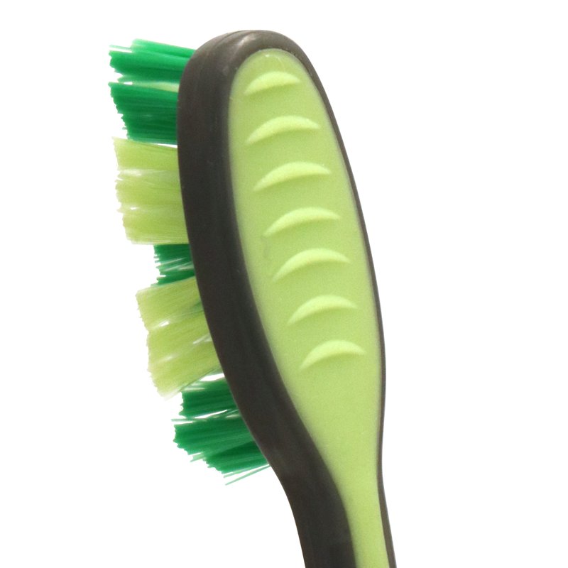 Manual Toothbrush Set - with Caps for Whole Mouth Cleaning