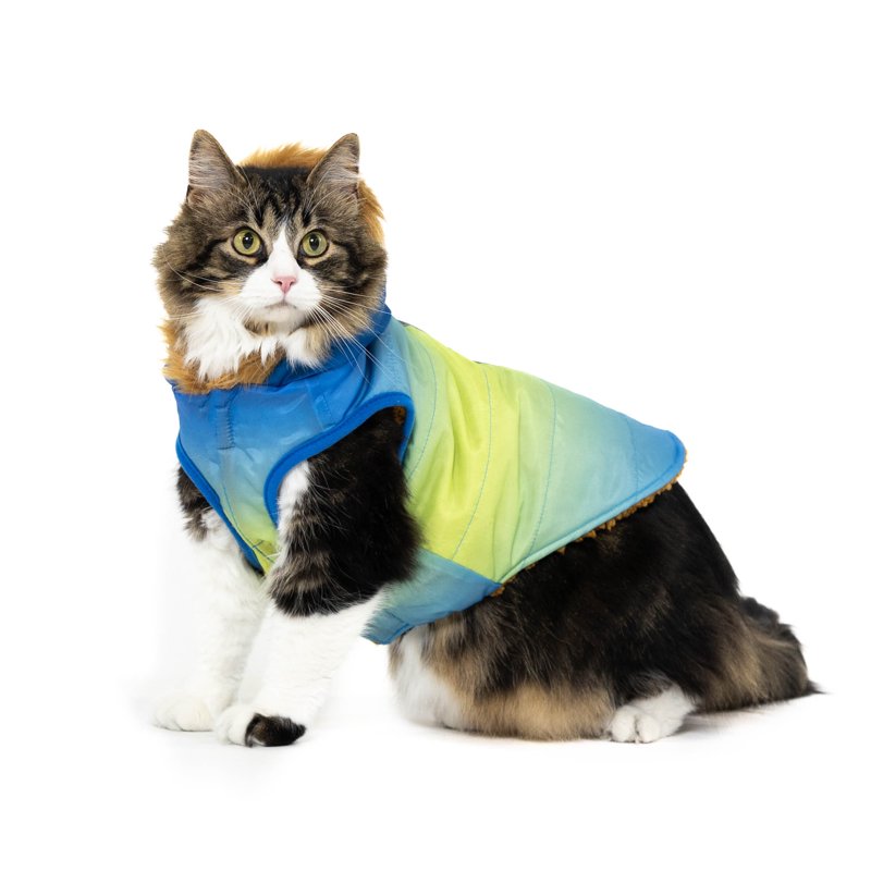 Pet Hooded Jacket - Blue Ombre, XS - Cool Weather Dog Coat with Hoodie