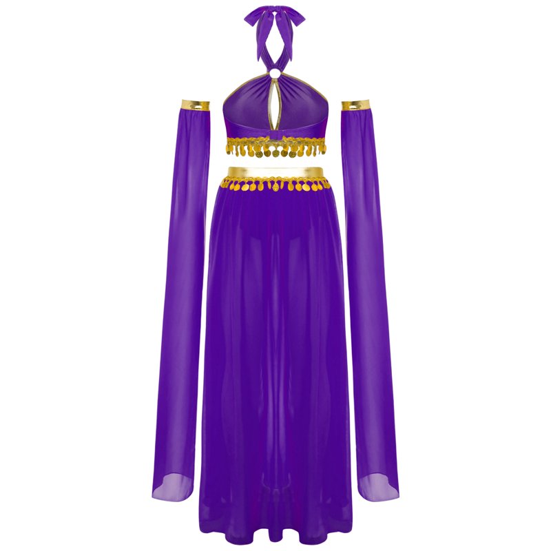 Women's Belly Dance Costume Set - Chiffon Skirt Purple XXL with Crop Top & Sleeves