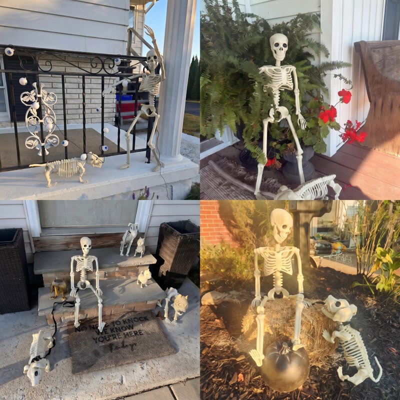 Halloween Skeleton Set with Dog Skeleton - 90cm Realistic Movable Full Body Decor